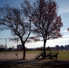 Dartmouth Common ball field
