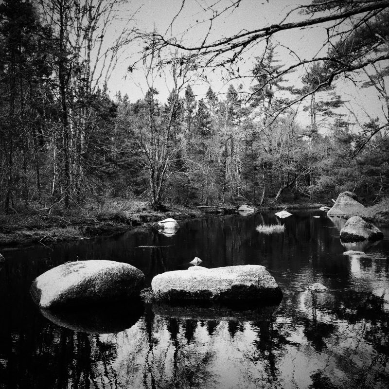 Rocks in the West River Rocks in the West River