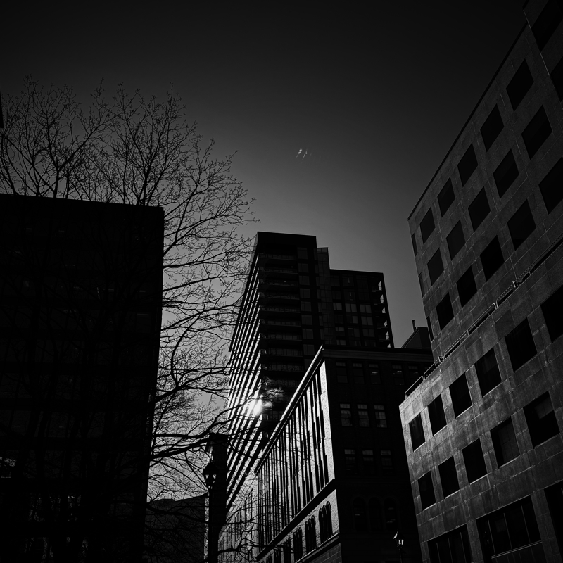 Cold commute The sun reflects strongly on downtown buildings, a bare tree hangs over the street from the left