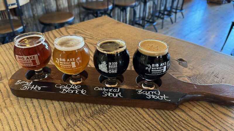 Four small glasses of beer on a wooden bar top, getting darker from left to right.
