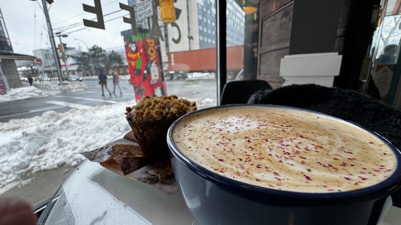 Checked in: Dilly Dally Coffee Cafe A large blue coffee cup holds a latte with pink rose petals sprinkled on top. A crumbly muffin sits on a plate beside.