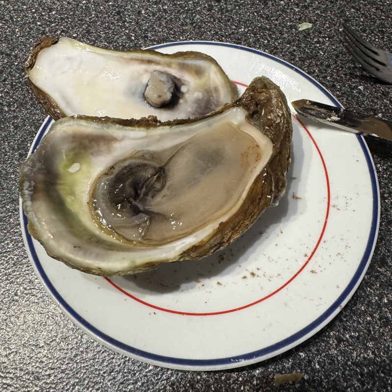 Nova Scotia oyster treat A very large oyster opened up on a plate