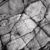 Veins, Brier Island