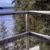 Cabin, January (One)