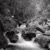 Falls at Fairy Hole, Cape Breton
