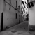The lonely pigeon