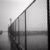 Fence at Salter Landing