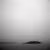 Georges Island in fog
