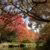 Autumn colours along Mersey River, October 2007