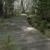 Boardwalk over Torment Brook