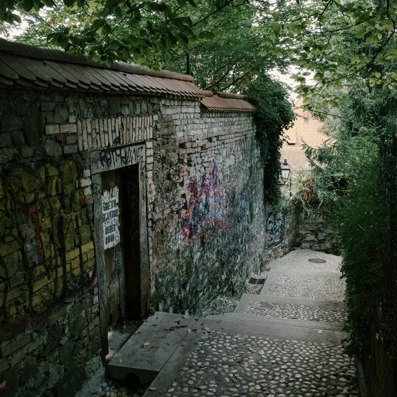 An old brick wall covered in graffiti with a closed wooden gate lines a curving path up a hill with vegetation creating a tunnel effect