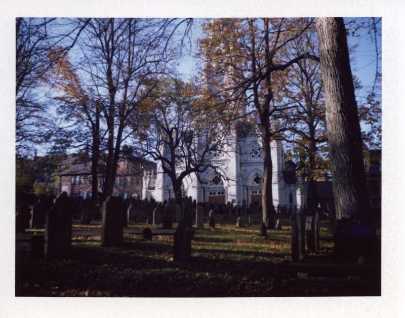 Mostly bare trees tower above dark gravestones with a white basilica church with a tall steeple in the background