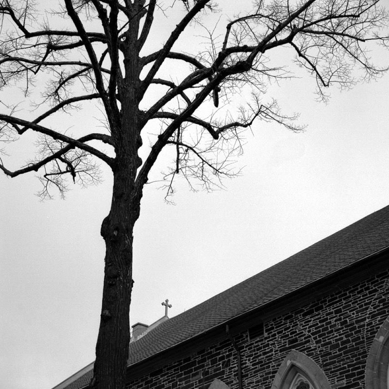 Tree and cross, Christmas Eve