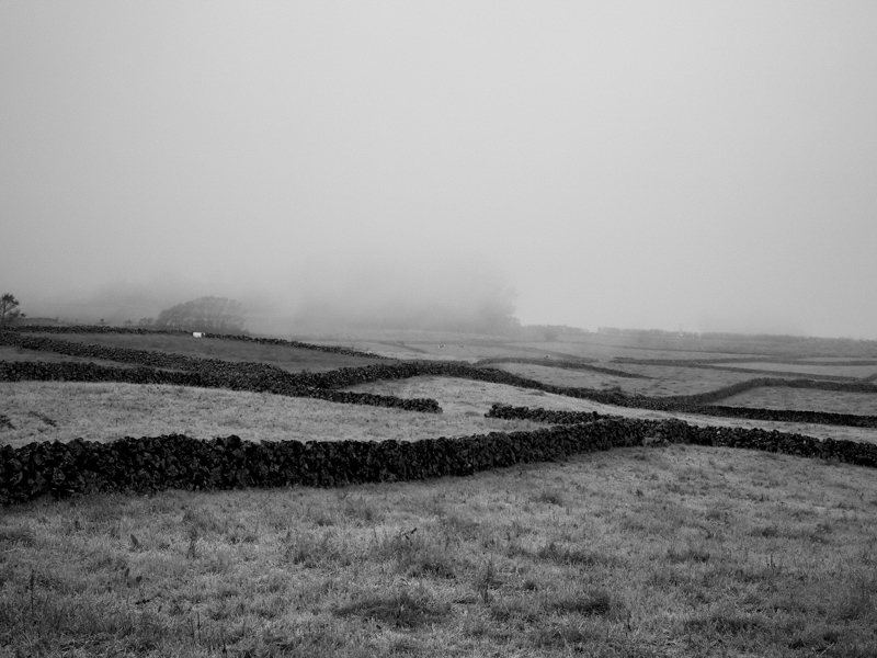 Volcanic stone walls, Ilha Terceira, May 2025 Dark volcanic stone walls crisscross fields as clouds slowly roll over