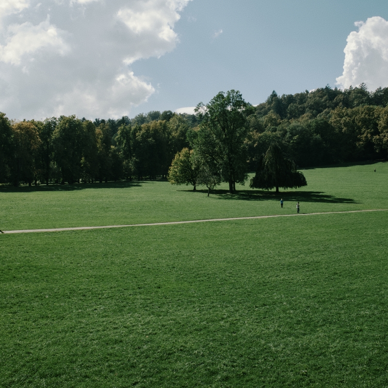 Dog walkers, Tivoli Park Three small figures are seen on a grassy hill with trees along the edge, a path cuts across the hill