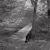 Wards Falls (Nine)